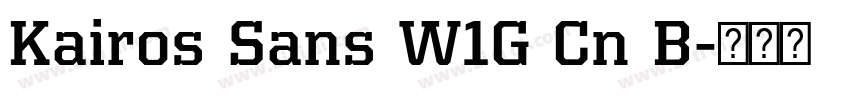 Kairos Sans W1G Cn B字体转换